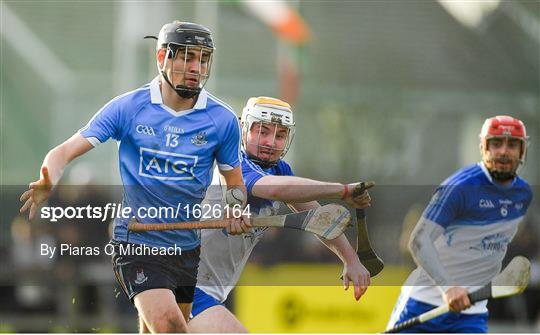 Dublin v Dubs Stars - Annual Dubs Stars Hurling Challenge