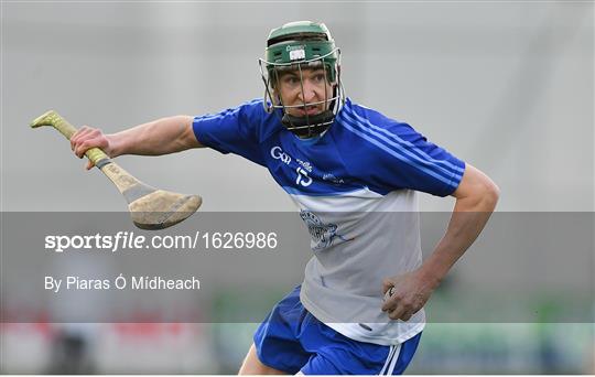 Dublin v Dubs Stars - Annual Dubs Stars Hurling Challenge