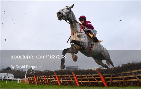 Leopardstown Festival - Day 4 Leopardstown Festival - Day 4