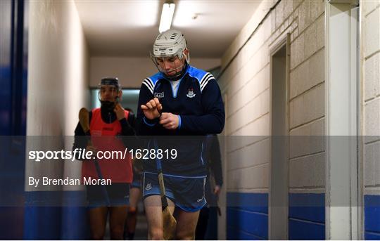 Laois v Dublin - Bord na Mona Walsh Cup Round 3