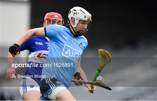 Laois v Dublin - Bord na Mona Walsh Cup Round 3