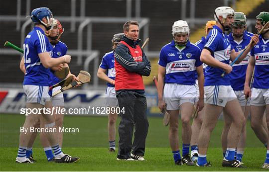 Laois v Dublin - Bord na Mona Walsh Cup Round 3