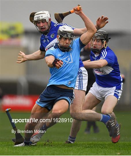 Laois v Dublin - Bord na Mona Walsh Cup Round 3