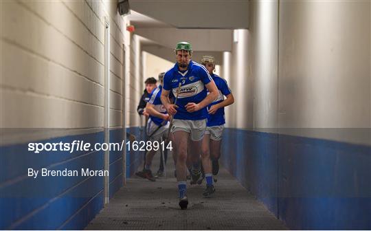 Laois v Dublin - Bord na Mona Walsh Cup Round 3