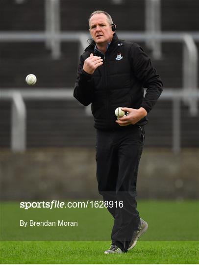 Laois v Dublin - Bord na Mona Walsh Cup Round 3