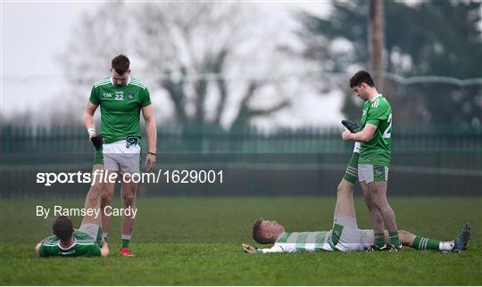 Limerick v Cork - McGrath Cup Semi-final