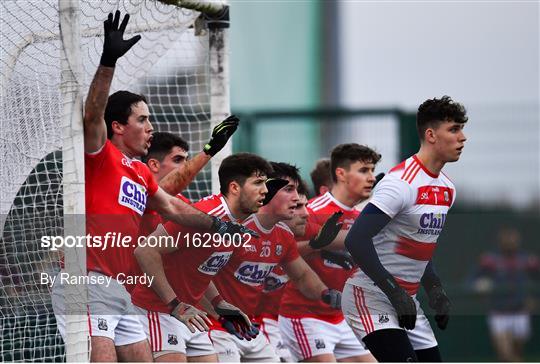 Limerick v Cork - McGrath Cup Semi-final