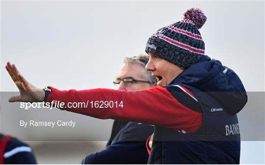 Limerick v Cork - McGrath Cup Semi-final