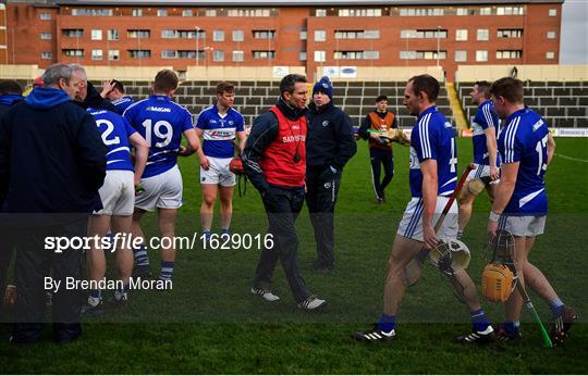 Laois v Dublin - Bord na Mona Walsh Cup Round 3