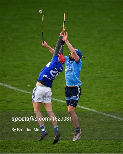 Laois v Dublin - Bord na Mona Walsh Cup Round 3 Laois v Dublin - Bord na Mona Walsh Cup Round 3