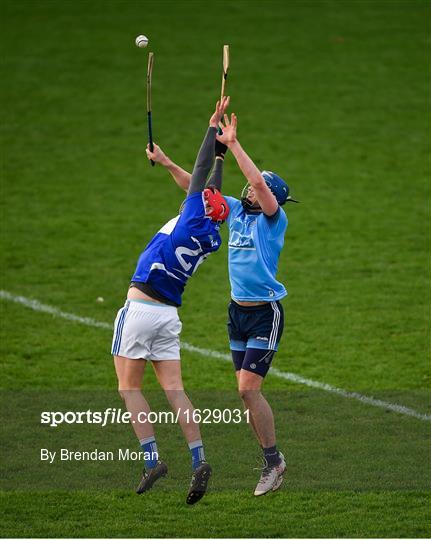 Laois v Dublin - Bord na Mona Walsh Cup Round 3