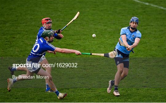 Laois v Dublin - Bord na Mona Walsh Cup Round 3