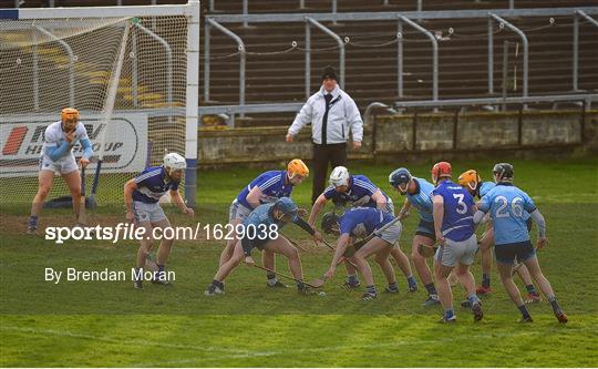 Laois v Dublin - Bord na Mona Walsh Cup Round 3