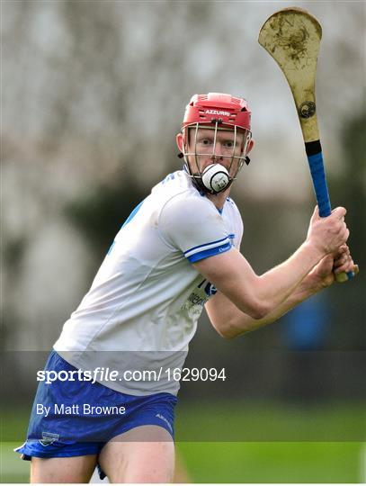 Waterford v Clare - Co-Op Superstores Munster Hurling League 2019