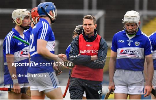 Laois v Dublin - Bord na Mona Walsh Cup Round 3 Laois v Dublin - Bord na Mona Walsh Cup Round 3