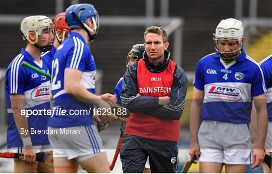 Laois v Dublin - Bord na Mona Walsh Cup Round 3