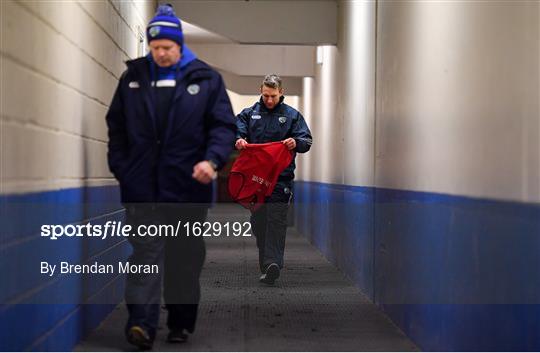 Laois v Dublin - Bord na Mona Walsh Cup Round 3