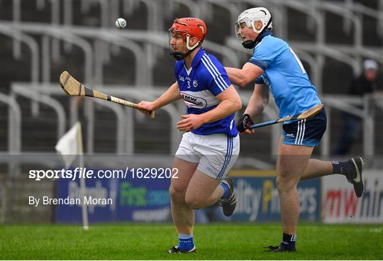 Laois v Dublin - Bord na Mona Walsh Cup Round 3