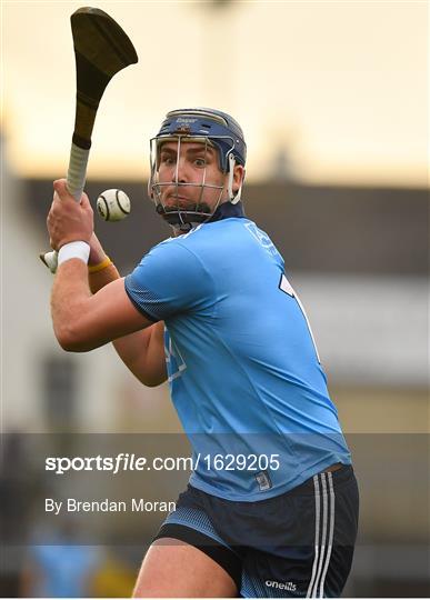 Laois v Dublin - Bord na Mona Walsh Cup Round 3