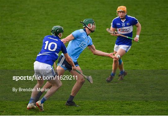 Laois v Dublin - Bord na Mona Walsh Cup Round 3