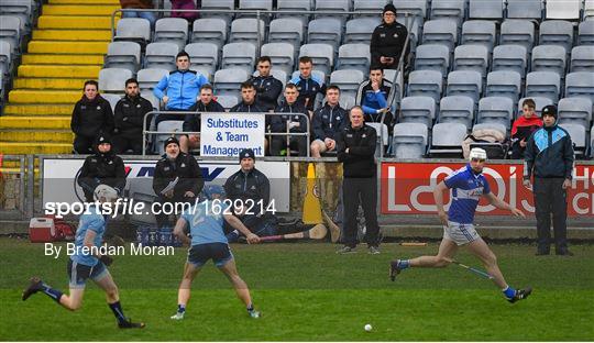 Laois v Dublin - Bord na Mona Walsh Cup Round 3