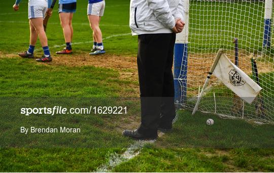 Laois v Dublin - Bord na Mona Walsh Cup Round 3