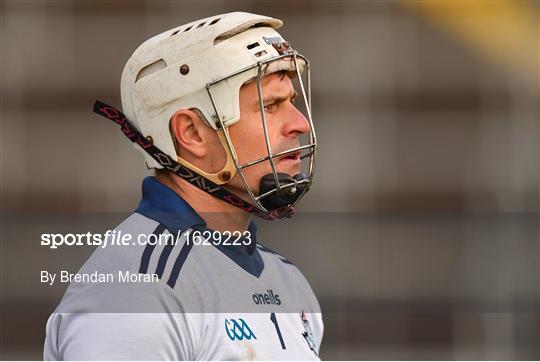 Laois v Dublin - Bord na Mona Walsh Cup Round 3