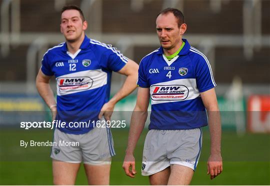 Laois v Dublin - Bord na Mona Walsh Cup Round 3