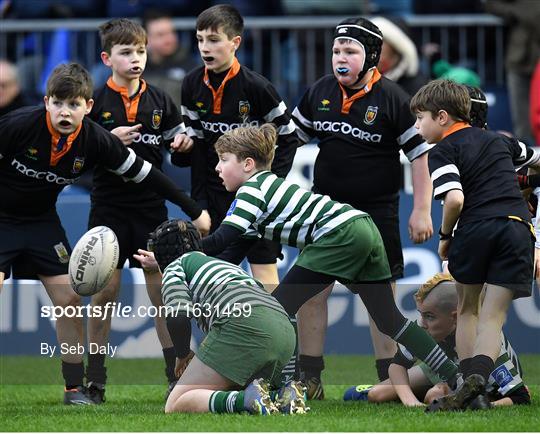 Bank of Ireland Half-Time Minis at Leinster v Toulouse - Heineken Champions Cup Pool 1 Round 5