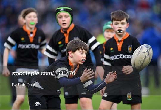Bank of Ireland Half-Time Minis at Leinster v Toulouse - Heineken Champions Cup Pool 1 Round 5