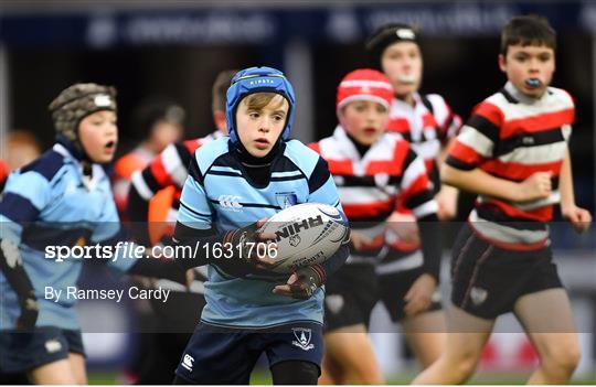 Leinster v Toulouse - Heineken Champions Cup Pool 1 Round 5