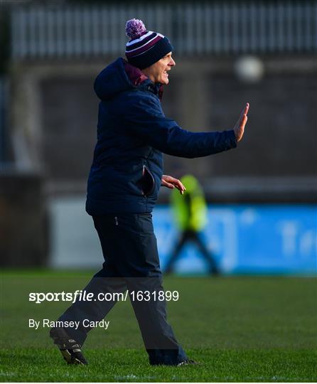 Dublin v Galway - Bord na Mona Walsh Cup semi-final