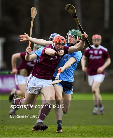 Dublin v Galway - Bord na Mona Walsh Cup semi-final