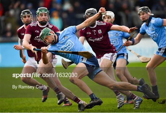 Dublin v Galway - Bord na Mona Walsh Cup semi-final