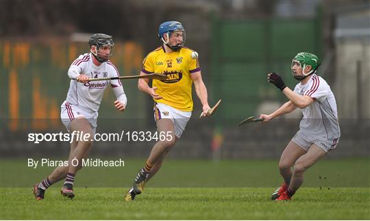 Wexford v Galway - Bord na Móna Walsh Cup Final