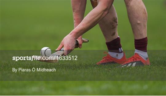 Wexford v Galway - Bord na Móna Walsh Cup Final