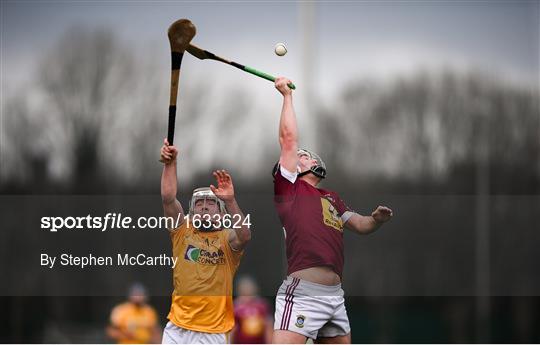 Westmeath v Antrim - Bord na Mona Kehoe Cup Final