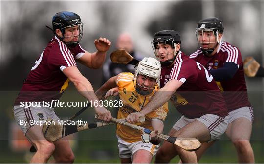 Westmeath v Antrim - Bord na Mona Kehoe Cup Final