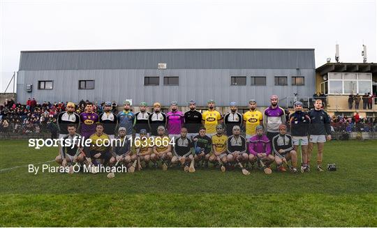 Wexford v Galway - Bord na Móna Walsh Cup Final