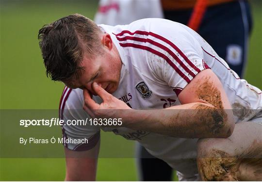 Wexford v Galway - Bord na Móna Walsh Cup Final