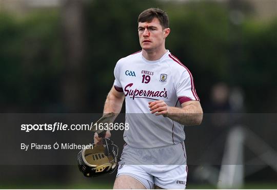 Wexford v Galway - Bord na Móna Walsh Cup Final