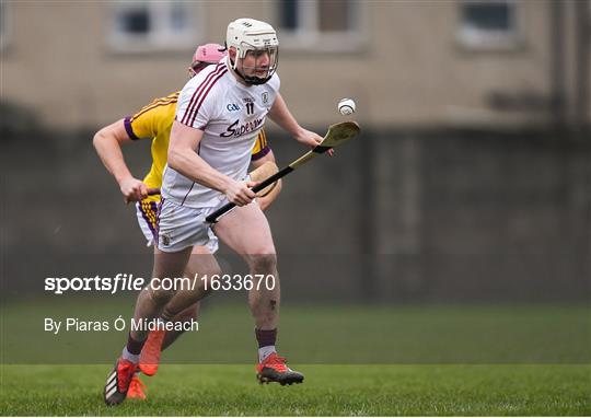 Wexford v Galway - Bord na Móna Walsh Cup Final