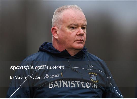 Westmeath v Antrim - Bord na Mona Kehoe Cup Final