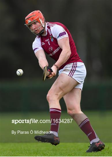 University College Dublin v NUI Galway - Electric Ireland Fitzgibbon Cup Round 1