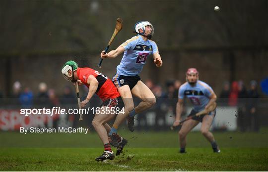 UCC v UCD - Electric Ireland Fitzgibbon Cup Group A Round 2