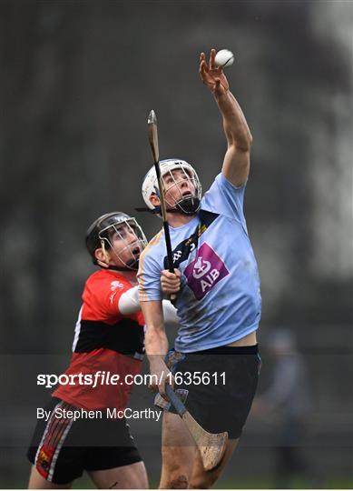 UCC v UCD - Electric Ireland Fitzgibbon Cup Group A Round 2