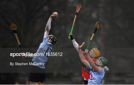 UCC v UCD - Electric Ireland Fitzgibbon Cup Group A Round 2