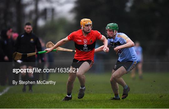 UCC v UCD - Electric Ireland Fitzgibbon Cup Group A Round 2