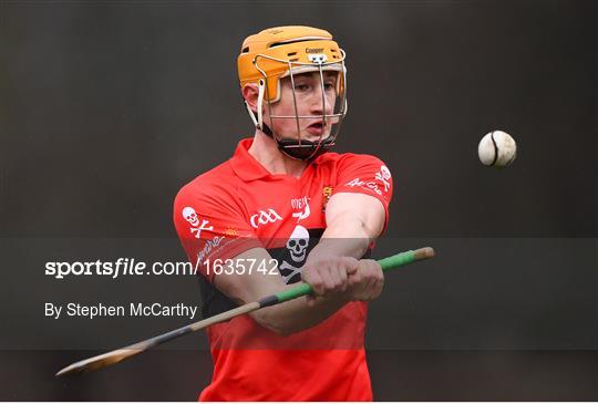 UCC v UCD - Electric Ireland Fitzgibbon Cup Group A Round 2