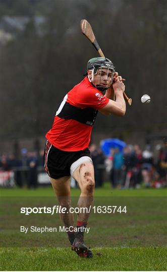 UCC v UCD - Electric Ireland Fitzgibbon Cup Group A Round 2